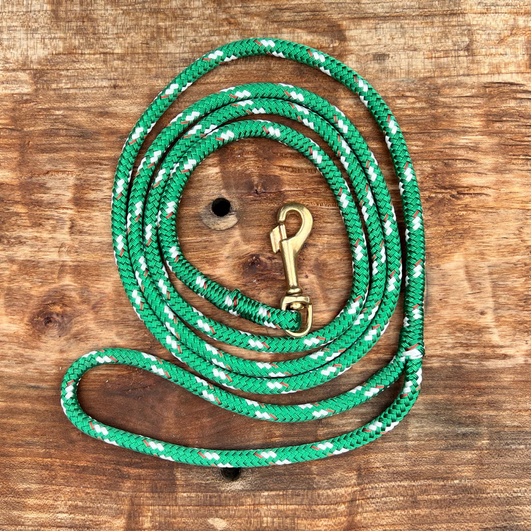 Dinghy Collection: Small Dog Nautical Pet Rope Leash (1/4")