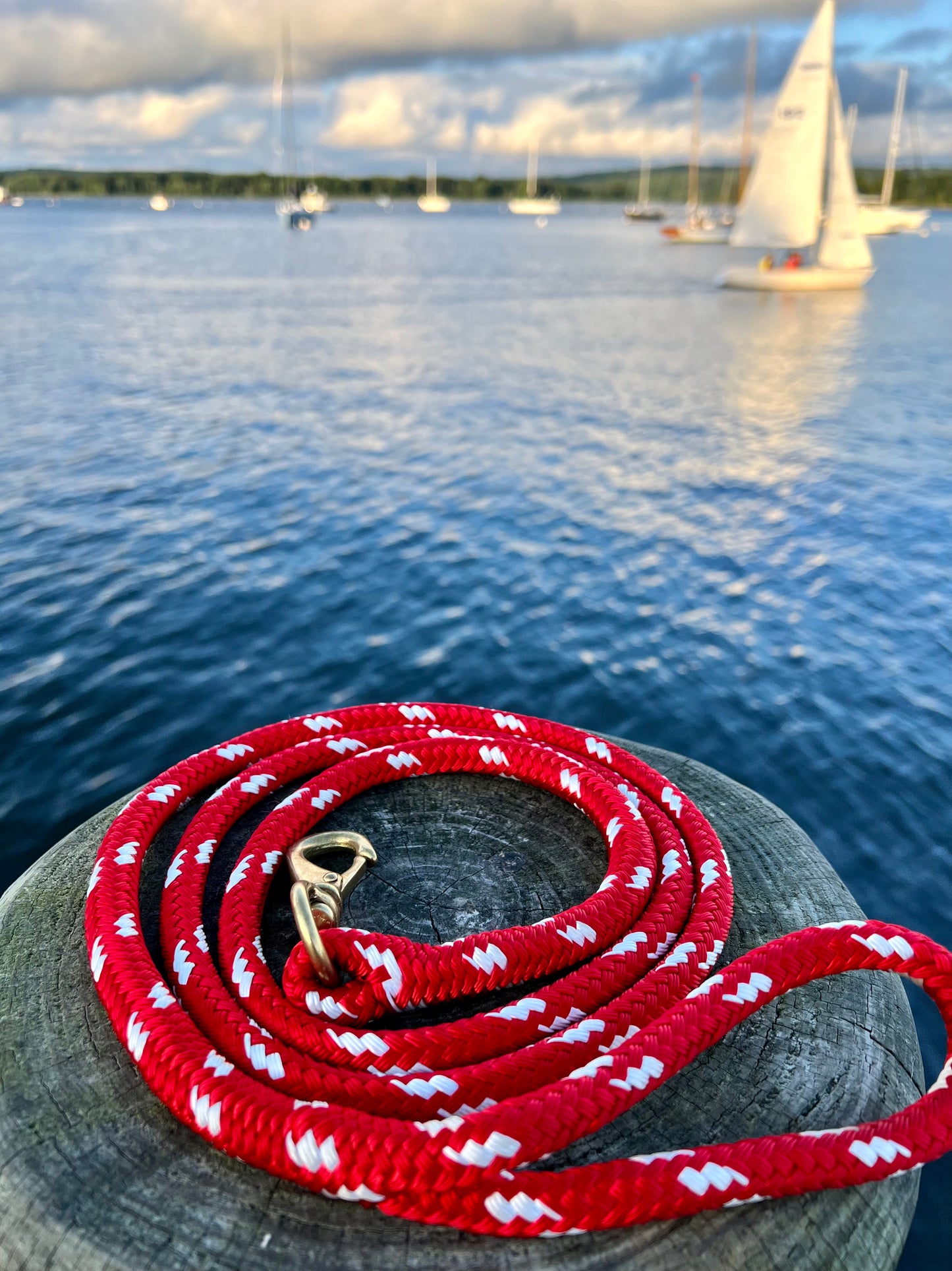 Nautical Rope Pet Leash: 7/16" Sta-Set New England Rope